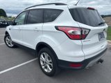 Used 2017 Ford Escape SE w/ Equipment Group 201A image 4
