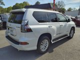 Used 2019 Lexus GX 460 Premium image 3