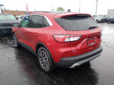 Used 2022 Ford Escape SEL w/ Technology Package image 5