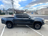 Used 2023 Toyota Tacoma TRD Sport image 4