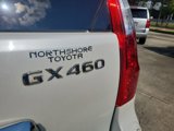 Used 2013 Lexus GX 460 image 5