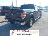 Used 2013 Ford F150 XLT w/ Luxury Equipment Group image 6