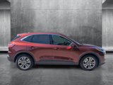 Used 2021 Ford Escape SEL w/ Technology Package image 4