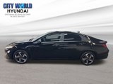 Certified 2023 Hyundai Elantra Limited w/ Cargo Package image 2