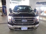 Certified 2022 Ford F150 XLT w/ Equipment Group 302A High image 2