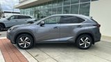 Used 2020 Lexus NX 300h AWD w/ Premium Package image 4