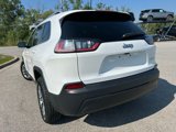 Used 2020 Jeep Cherokee Latitude Plus image 6