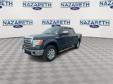 Used 2013 Ford F150 Lariat w/ Lariat Chrome Pkg image 4