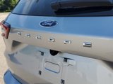 Used 2023 Ford Escape ST-Line image 6