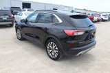 Used 2020 Ford Escape Titanium image 4