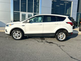 Used 2019 Ford Escape SE image 5