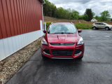 Used 2015 Ford Escape Titanium image 6