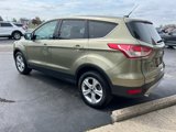 Used 2014 Ford Escape SE image 5