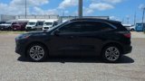 Certified 2022 Ford Escape SEL image 5