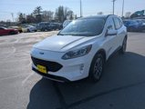 Used 2021 Ford Escape SEL image 4