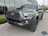 Used 2022 Toyota Tacoma TRD Sport w/ Black Out Package (TMS) image 2