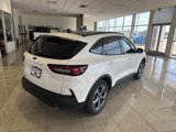 New 2025 Ford Escape ST-Line w/ Cold Weather Package image 3