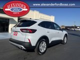 New 2025 Ford Escape Active w/ Tech Pack #1 image 4