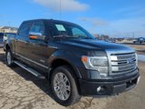 Used 2013 Ford F150 Platinum image 2