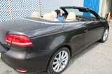 Used 2012 Volkswagen Eos Komfort image 5