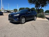 Used 2019 Toyota RAV4 XLE Premium image 2