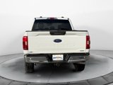 Used 2021 Ford F150 XLT w/ Equipment Group 301A Mid image 4
