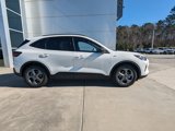 New 2025 Ford Escape ST-Line w/ Tech Pack #1 image 4
