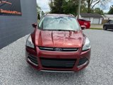 Used 2016 Ford Escape Titanium image 3