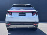 Used 2022 Hyundai Tucson Limited image 4