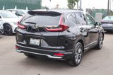 Used 2020 Honda CR-V EX image 5