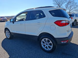 Used 2021 Ford EcoSport SE image 4
