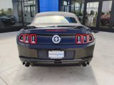 Used 2014 Ford Mustang Premium image 6