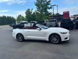 Used 2017 Ford Mustang GT Premium w/ Equipment Group 401A image 3