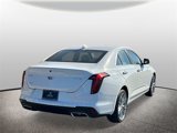 New 2025 Cadillac CT4 Premium Luxury image 2