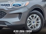 Certified 2022 Ford Escape SE w/ Convenience Package image 3