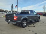 Certified 2019 Ford F150 XLT w/ Equipment Group 302A Luxury image 3