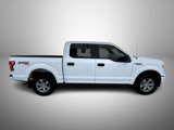 Used 2019 Ford F150 XL w/ Equipment Group 101A Mid image 4