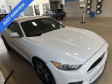Used 2015 Ford Mustang Coupe w/ Equipment Group 051A image 2