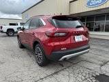 Used 2024 Ford Escape SE image 3