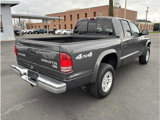 Used 2003 Dodge Dakota SLT image 5
