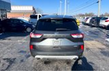 Used 2020 Ford Escape SE image 4