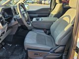 Used 2023 Ford F150 XLT image 3