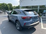 New 2025 Ford Escape ST-Line Elite w/ Tech Pack #1 image 5