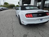 Used 2022 Ford Mustang Premium image 3