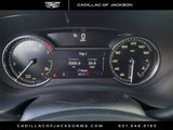 Used 2023 Cadillac XT4 Premium Luxury image 5