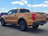 Certified 2019 Ford Ranger XLT w/ Equipment Group 301A Mid image 3