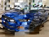 Used 2017 Ford Mustang GT Premium w/ Equipment Group 401A image 5