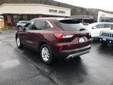 Used 2021 Ford Escape SE w/ Cold Weather Package image 3