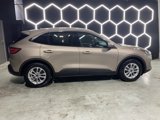 Used 2020 Ford Escape SE image 6