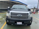Used 2009 Ford F150 Platinum image 4